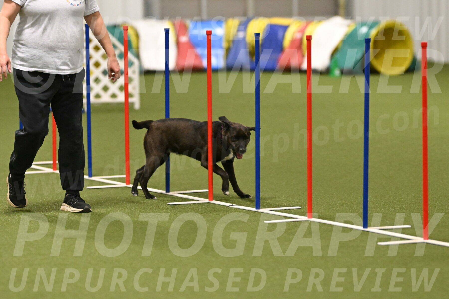 Josie-Sara-Dysert-07245