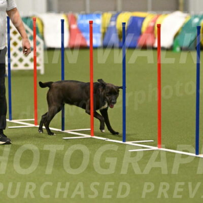 Josie-Sara-Dysert-07245