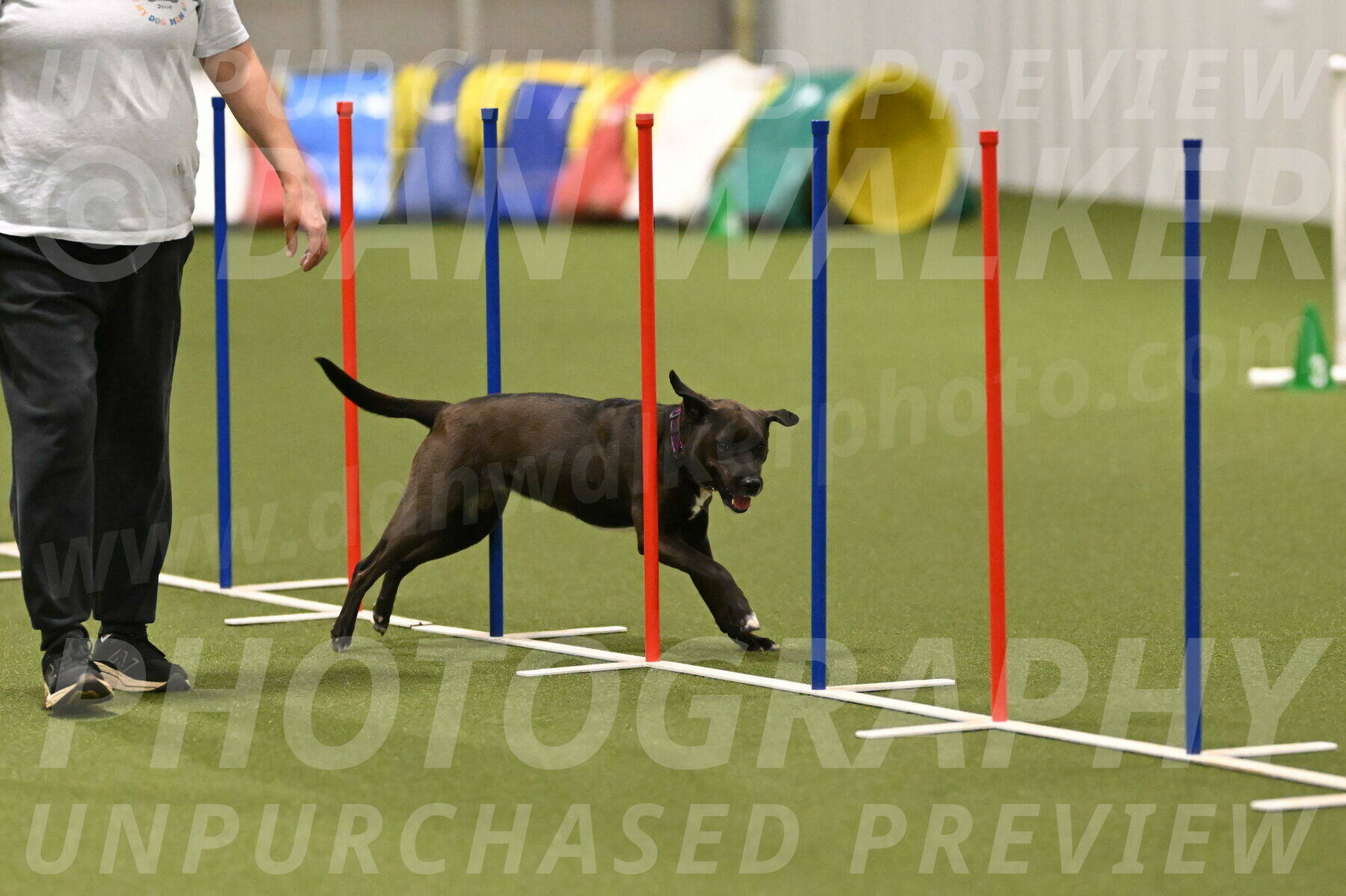 Josie-Sara-Dysert-07246