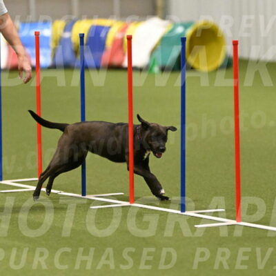 Josie-Sara-Dysert-07246