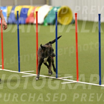 Josie-Sara-Dysert-07247