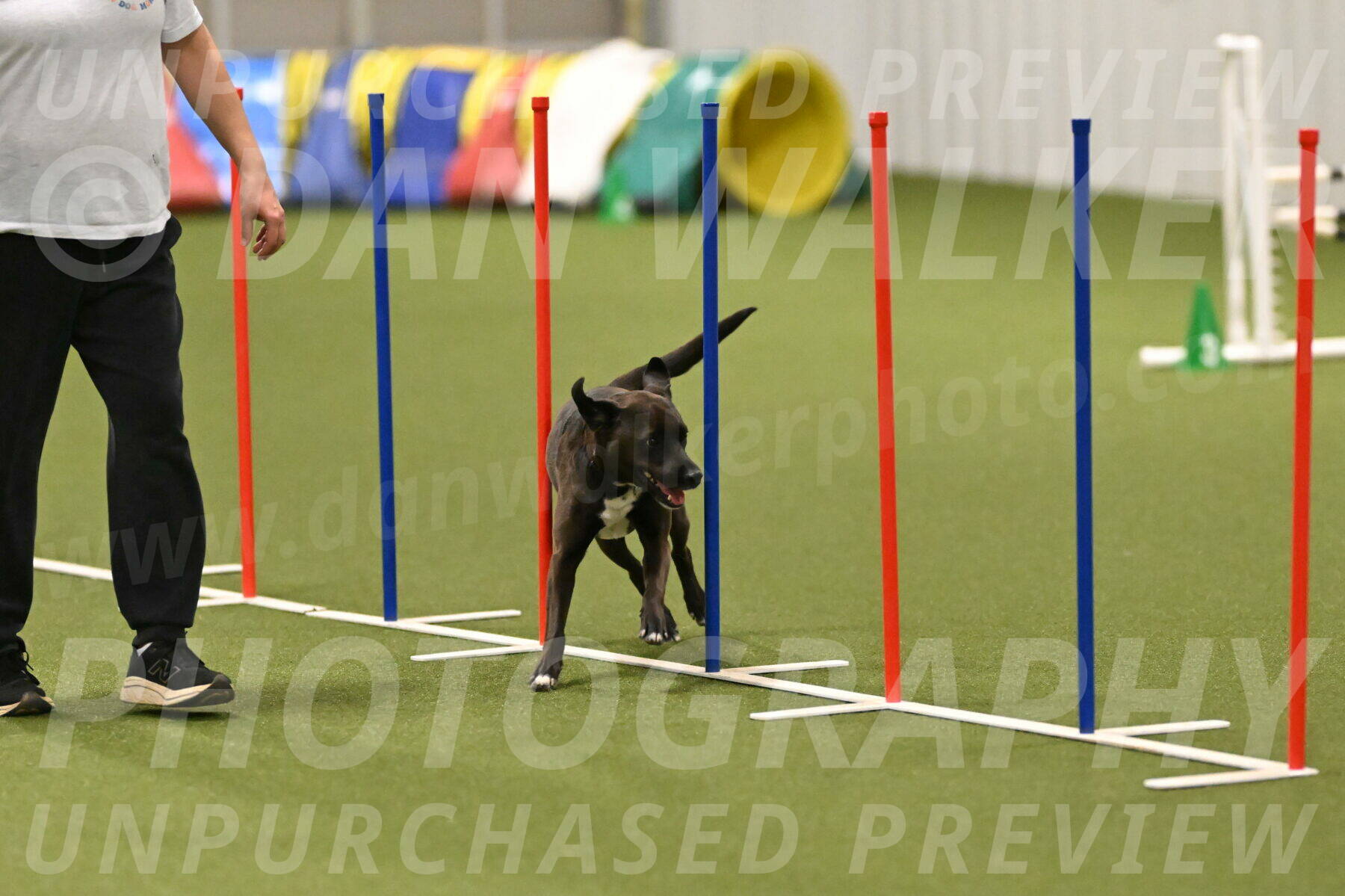 Josie-Sara-Dysert-07247