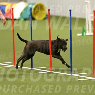 Josie-Sara-Dysert-07248