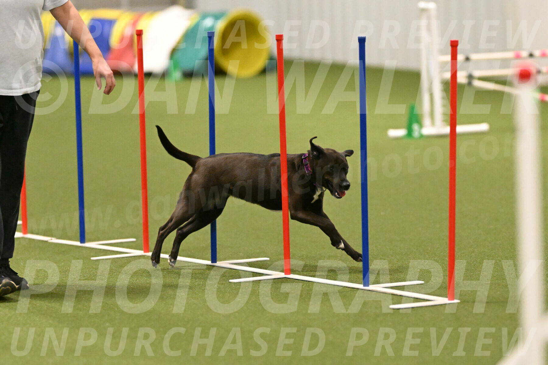 Josie-Sara-Dysert-07248