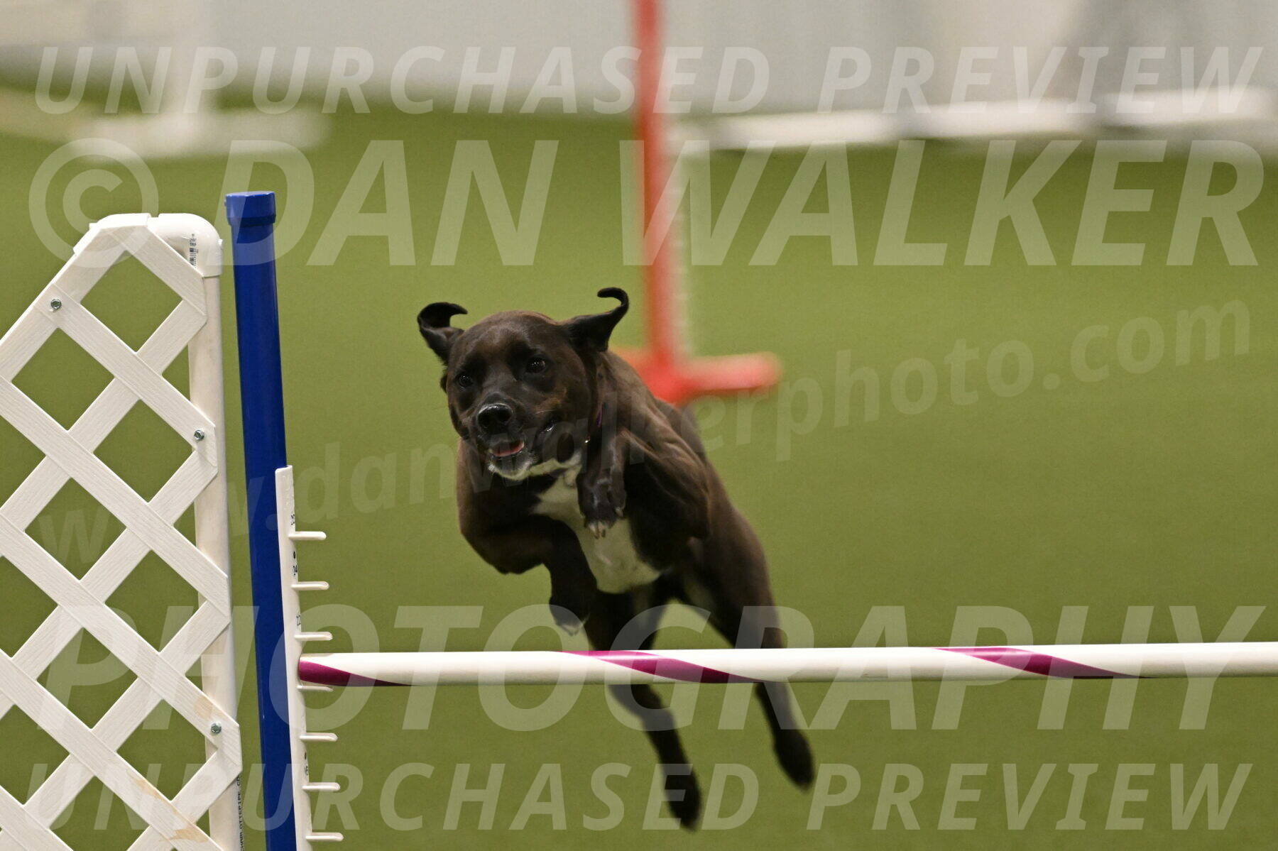 Josie-Sara-Dysert-07249