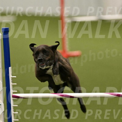 Josie-Sara-Dysert-07249