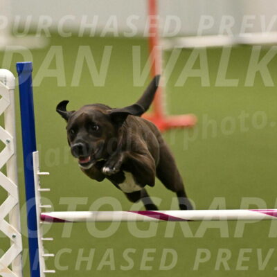 Josie-Sara-Dysert-07250