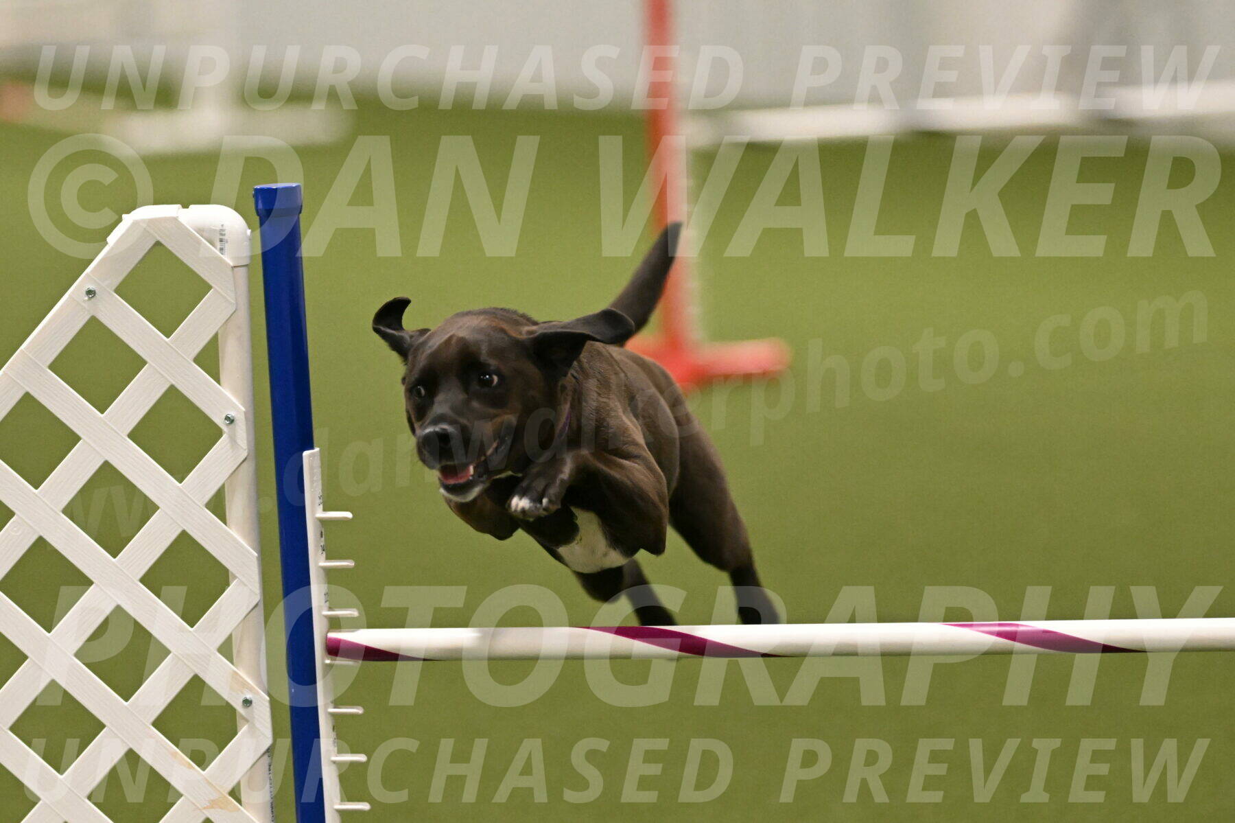 Josie-Sara-Dysert-07250