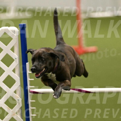 Josie-Sara-Dysert-07251