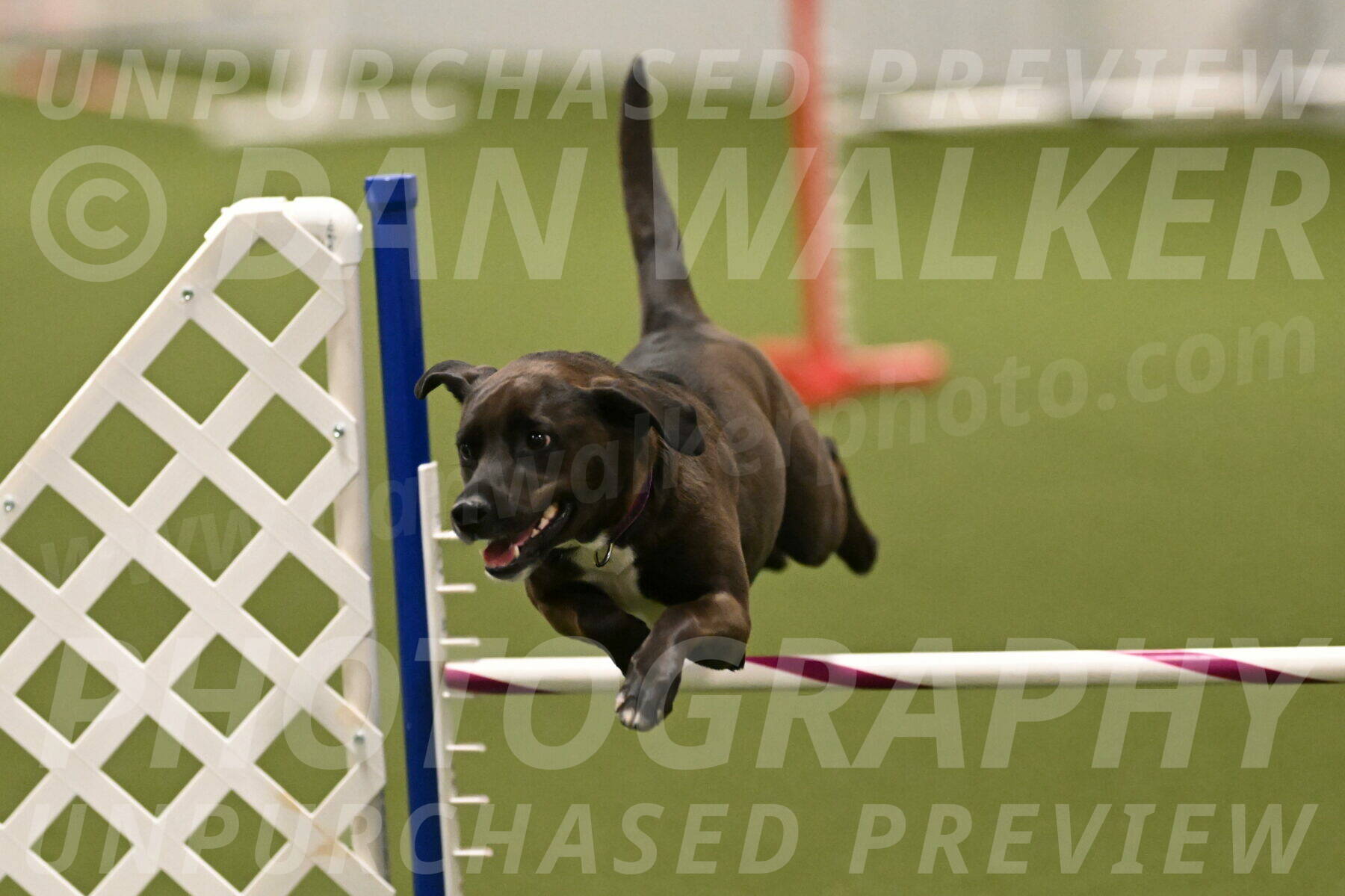 Josie-Sara-Dysert-07251