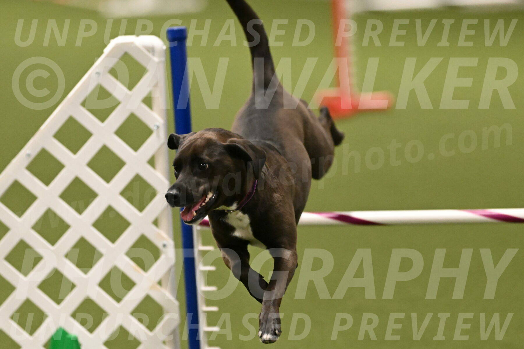 Josie-Sara-Dysert-07252