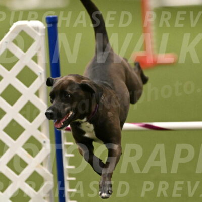 Josie-Sara-Dysert-07252