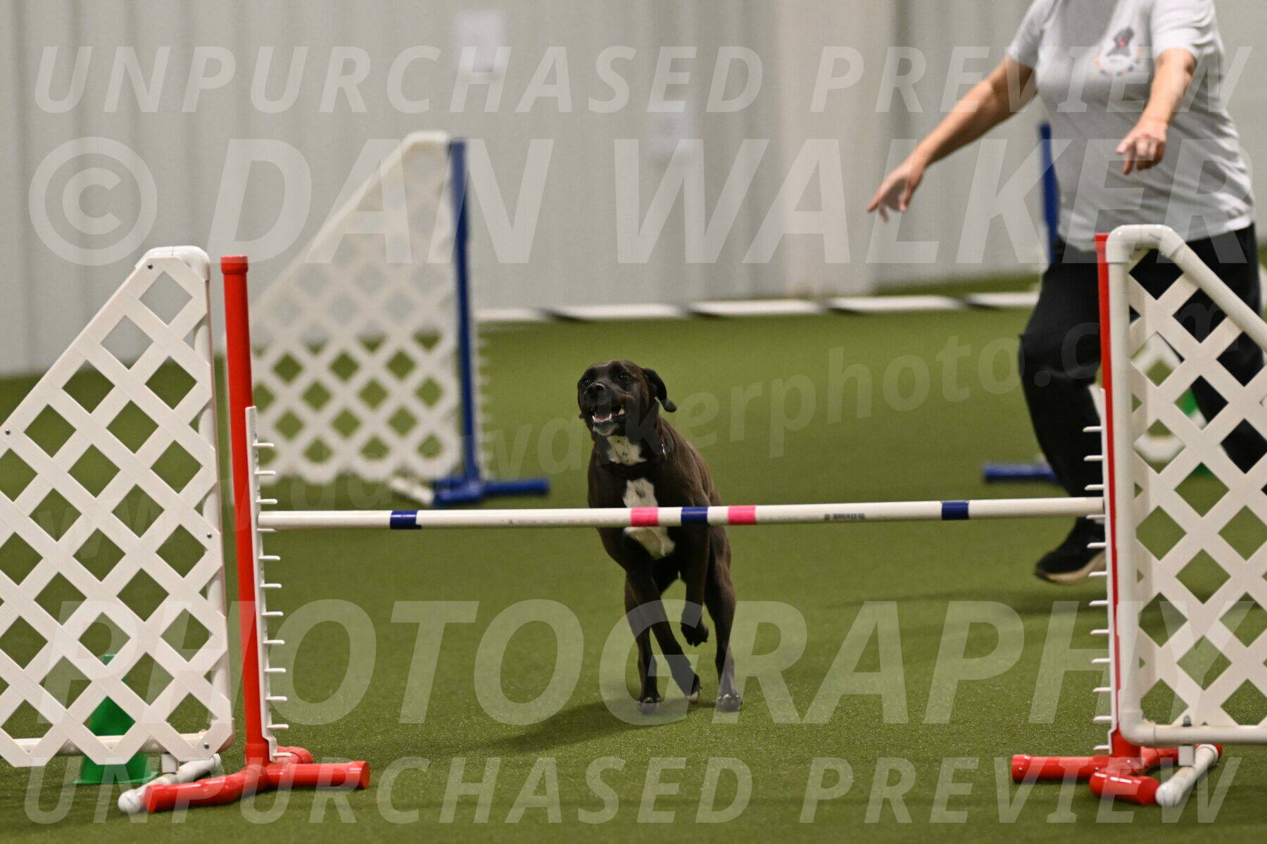 Josie-Sara-Dysert-07253