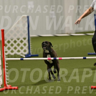 Josie-Sara-Dysert-07253