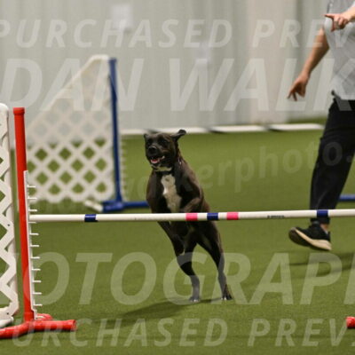 Josie-Sara-Dysert-07254