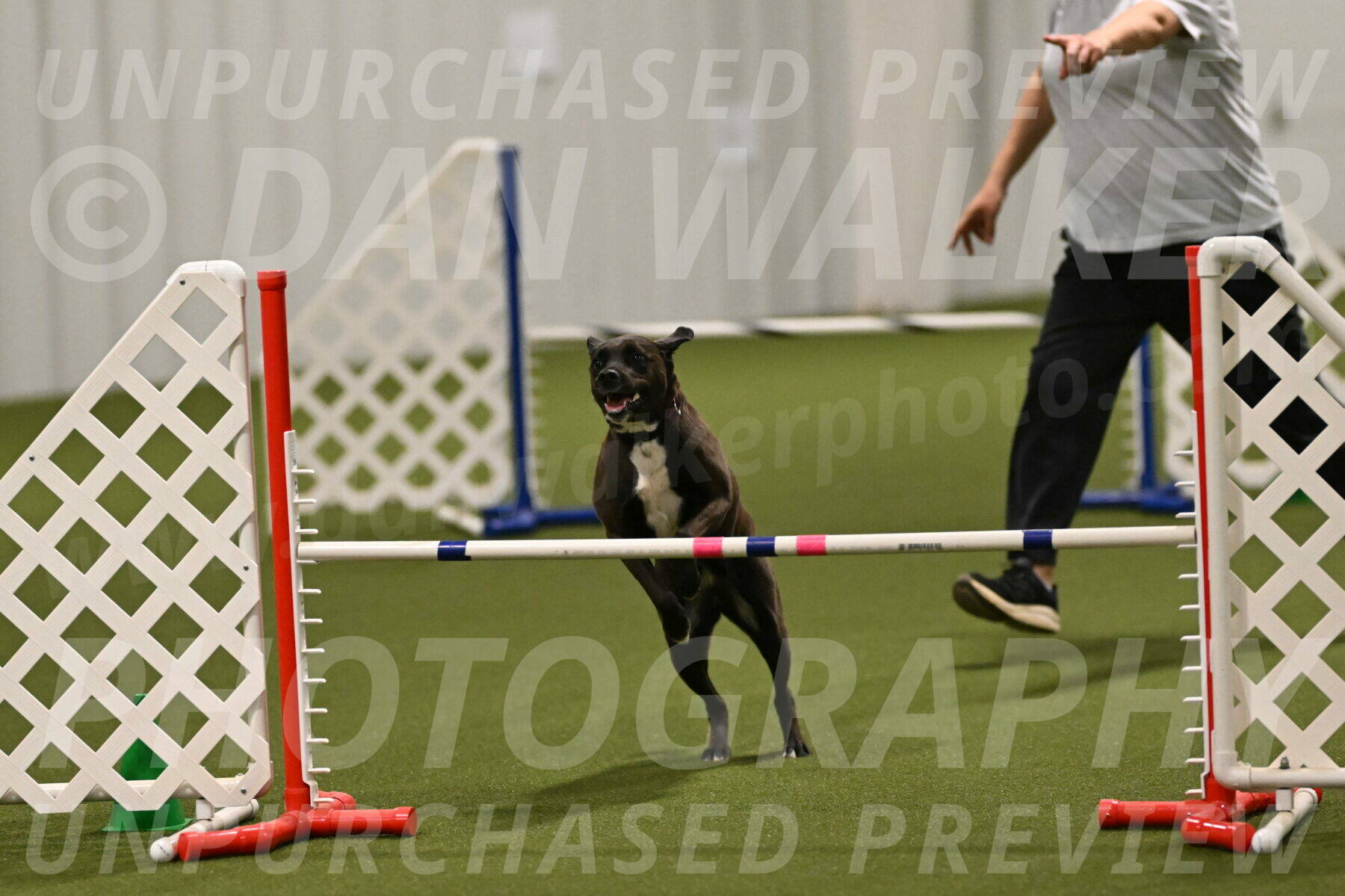 Josie-Sara-Dysert-07254