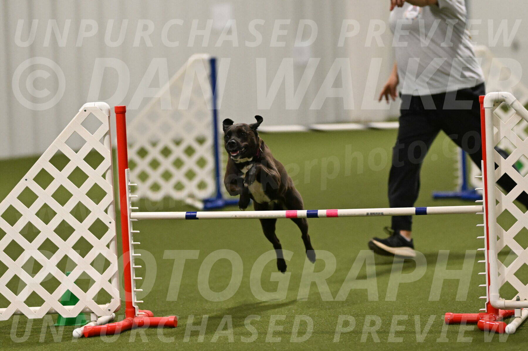 Josie-Sara-Dysert-07255