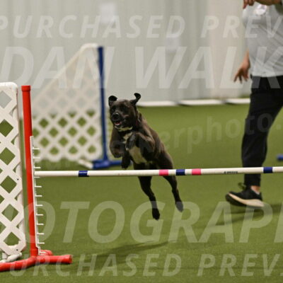 Josie-Sara-Dysert-07255