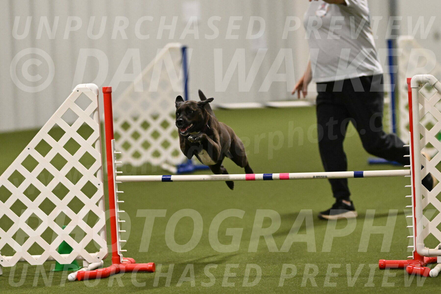 Josie-Sara-Dysert-07256