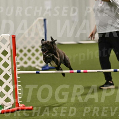 Josie-Sara-Dysert-07256