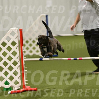 Josie-Sara-Dysert-07257