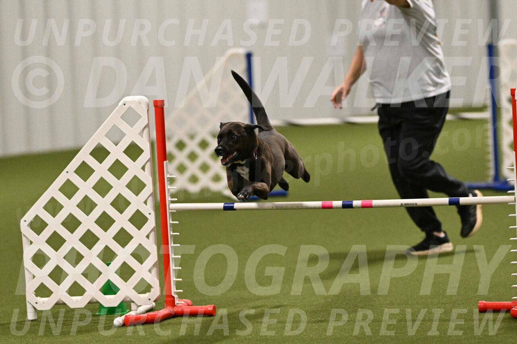 Josie-Sara-Dysert-07257