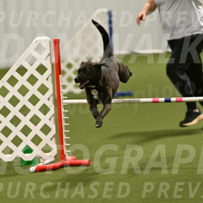 Josie-Sara-Dysert-07258