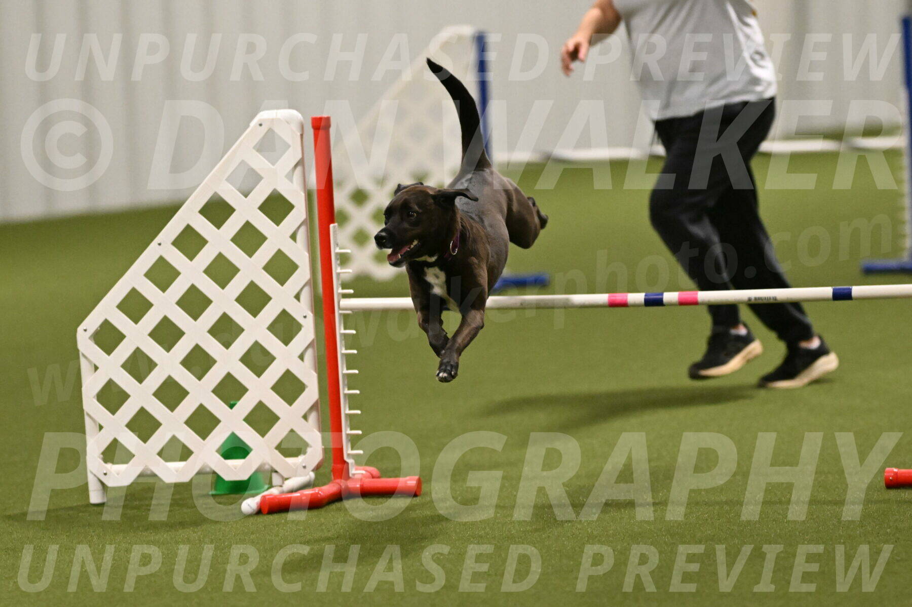 Josie-Sara-Dysert-07258