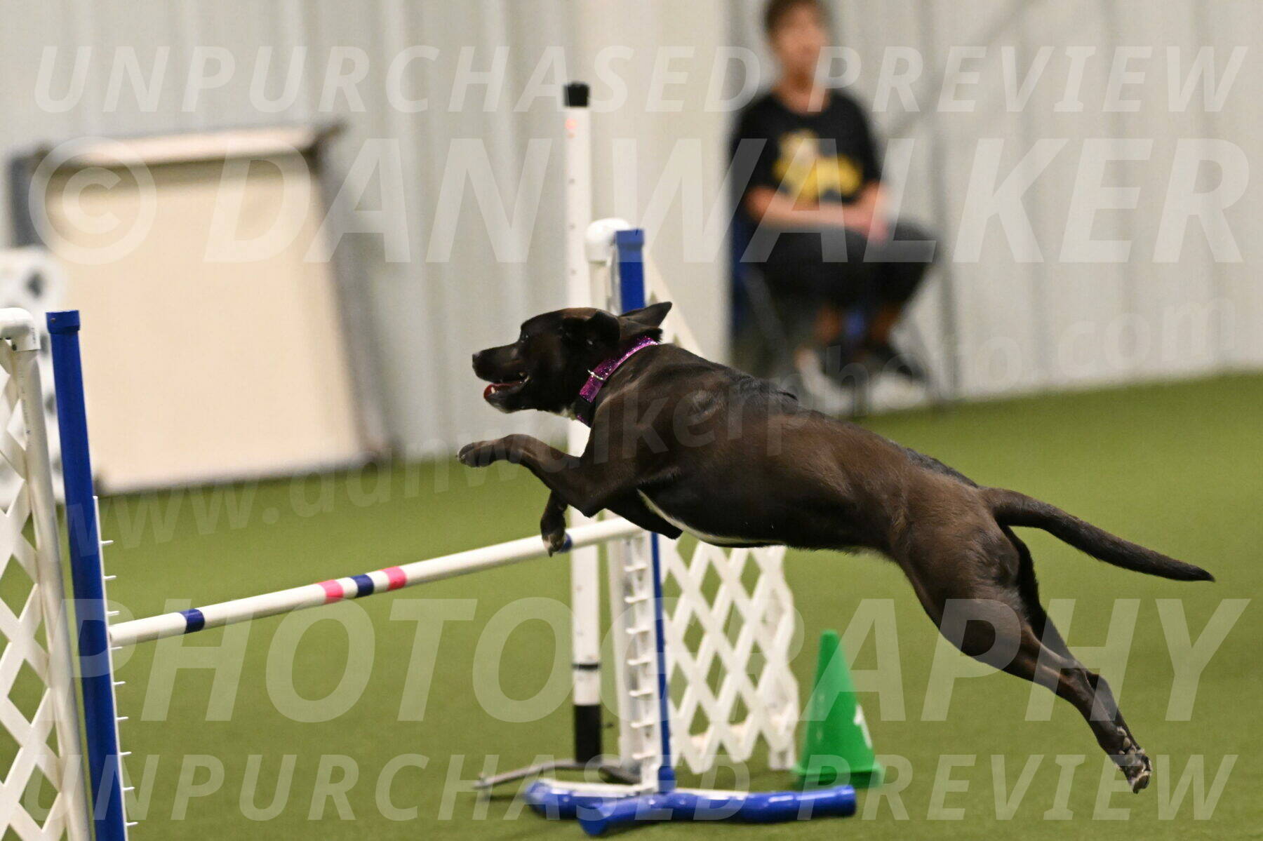 Josie-Sara-Dysert-07259