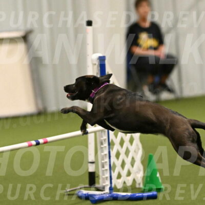 Josie-Sara-Dysert-07259