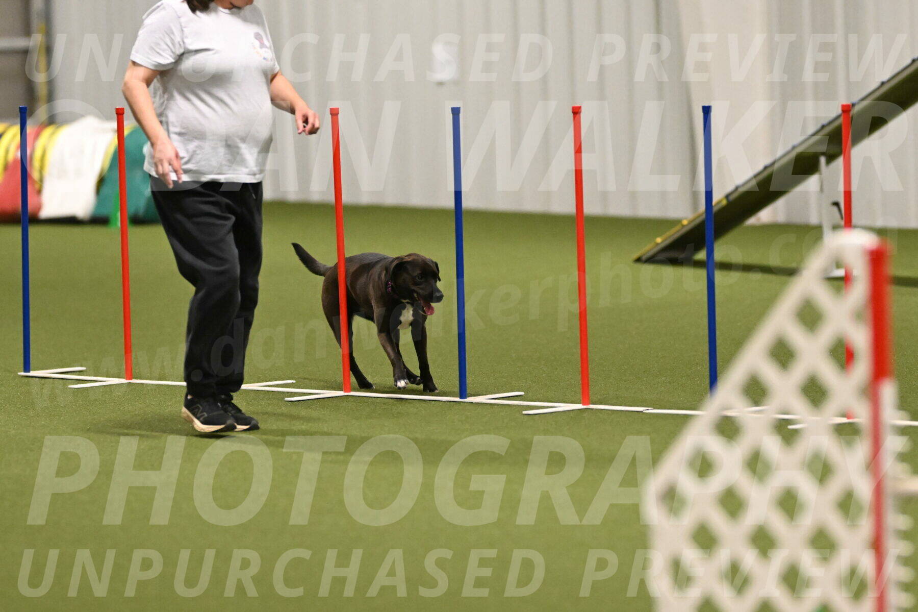 Josie-Sara-Dysert-07260