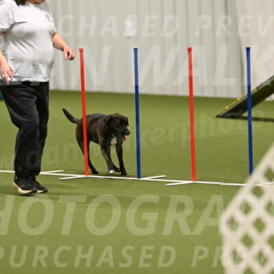 Josie-Sara-Dysert-07260