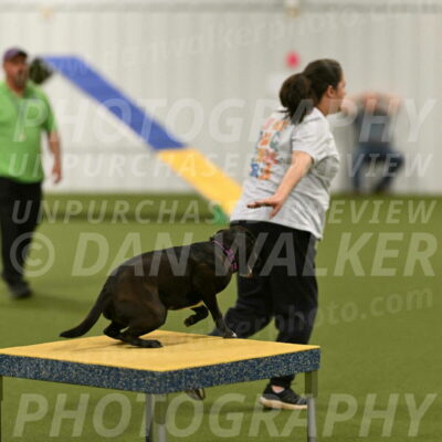 Josie-Sara-Dysert-07261