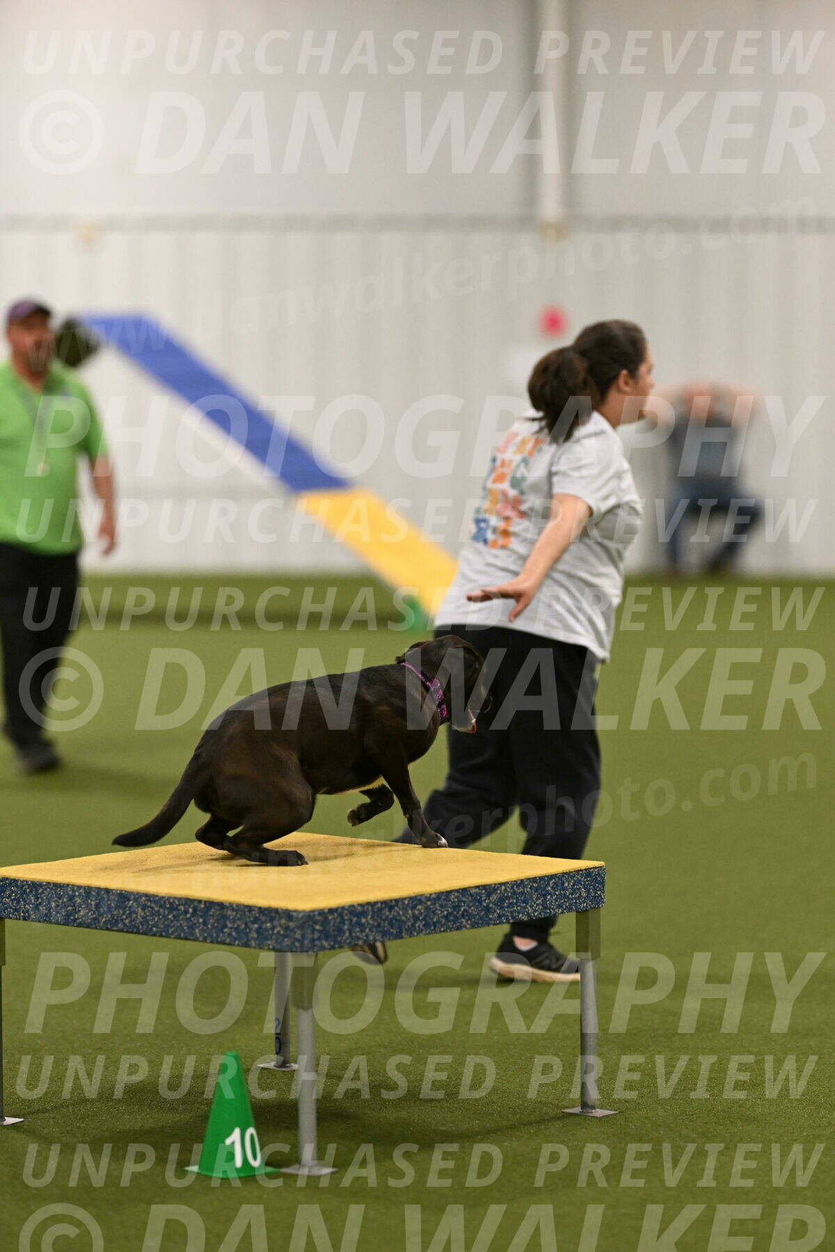 Josie-Sara-Dysert-07261