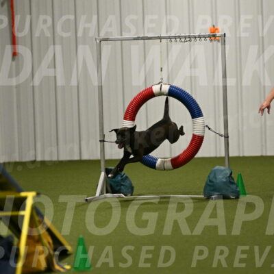 Josie-Sara-Dysert-07262