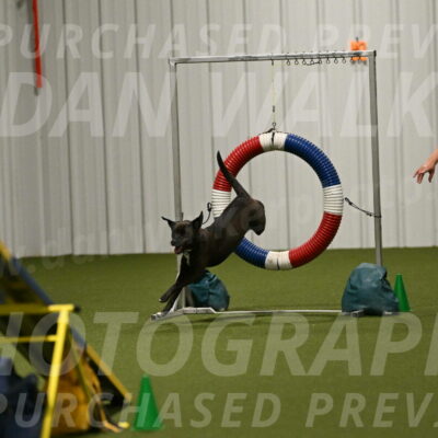 Josie-Sara-Dysert-07263