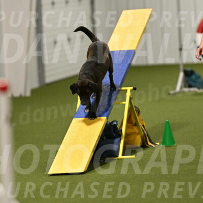 Josie-Sara-Dysert-07264