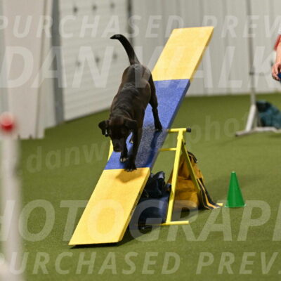 Josie-Sara-Dysert-07265