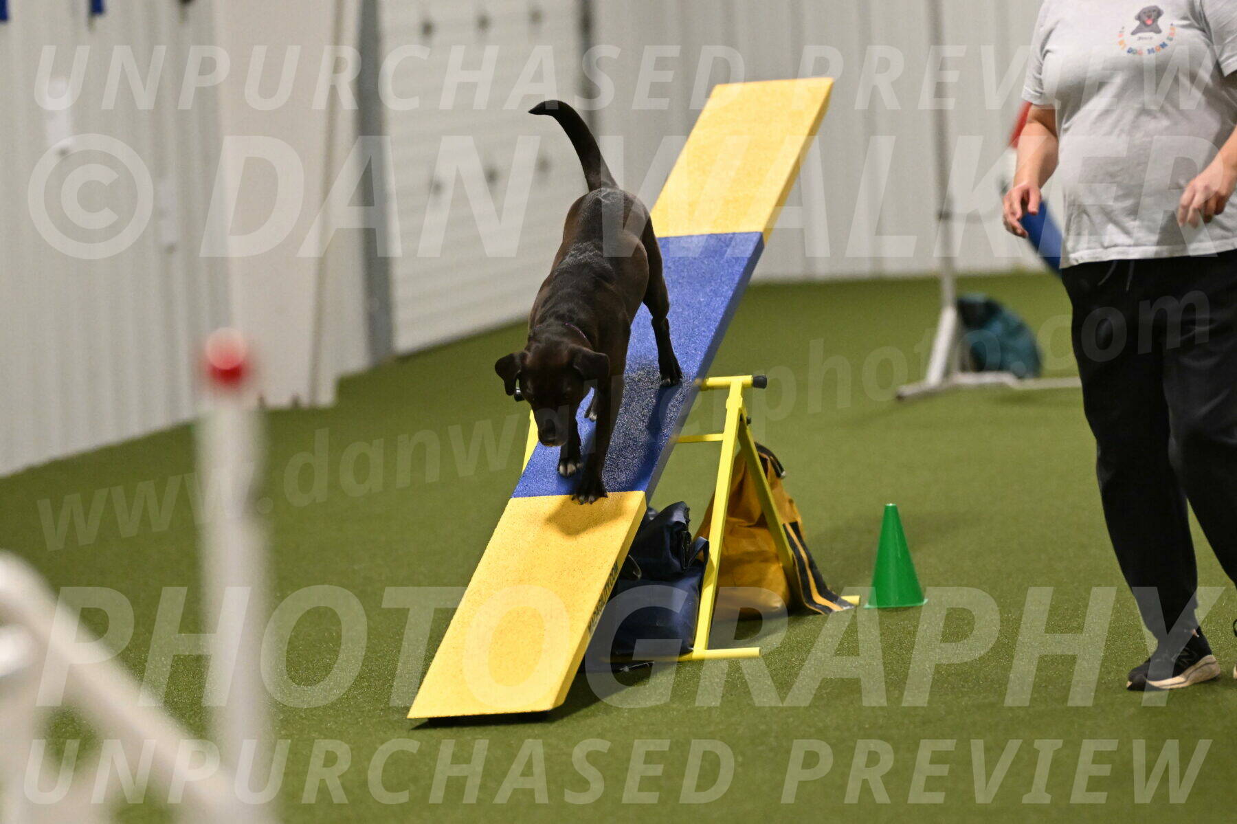 Josie-Sara-Dysert-07265