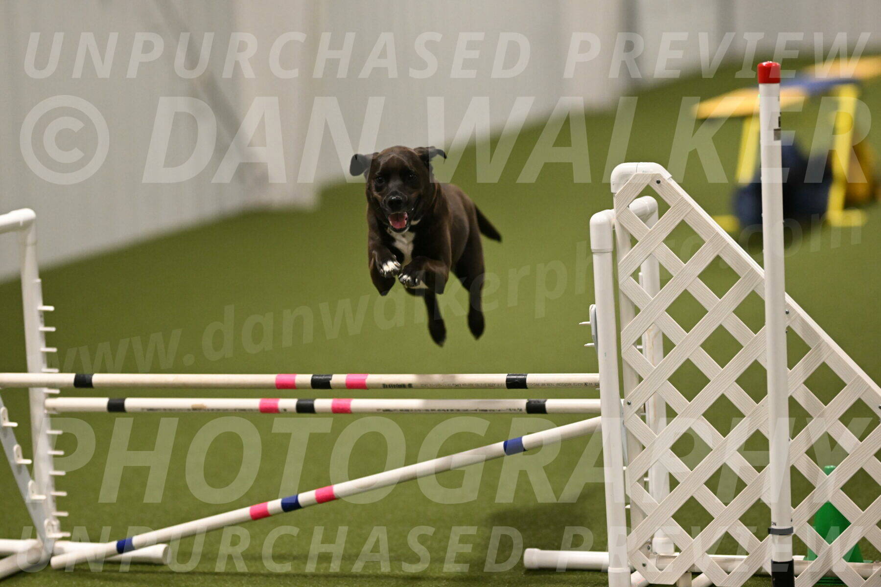 Josie-Sara-Dysert-07266