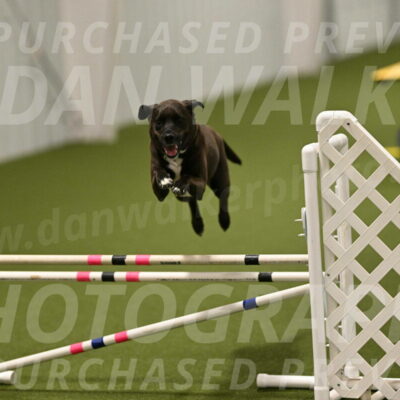 Josie-Sara-Dysert-07266