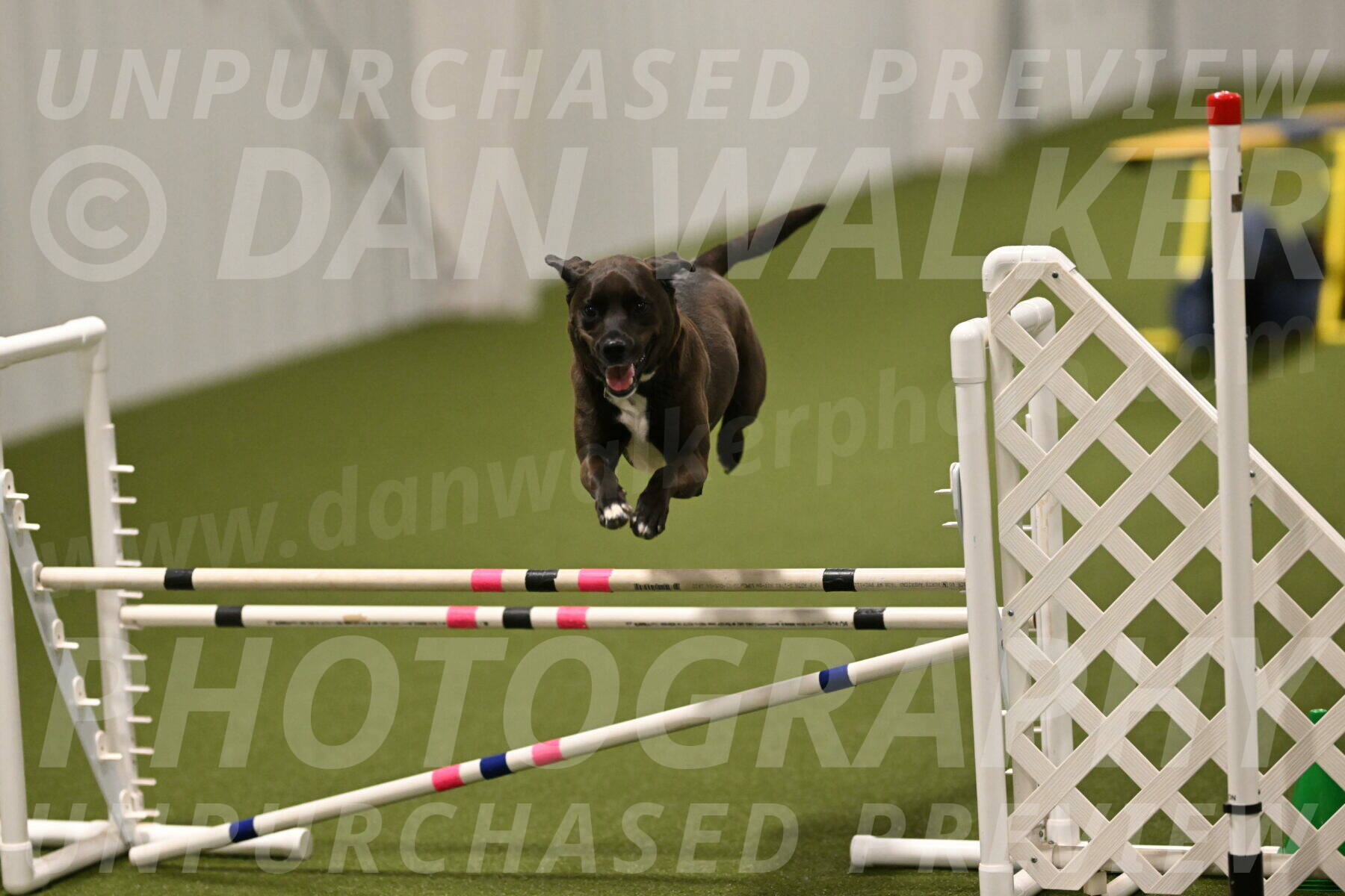 Josie-Sara-Dysert-07267