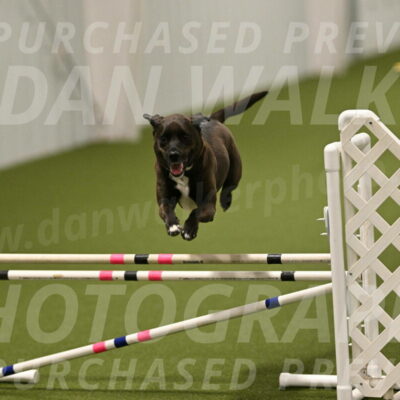 Josie-Sara-Dysert-07267