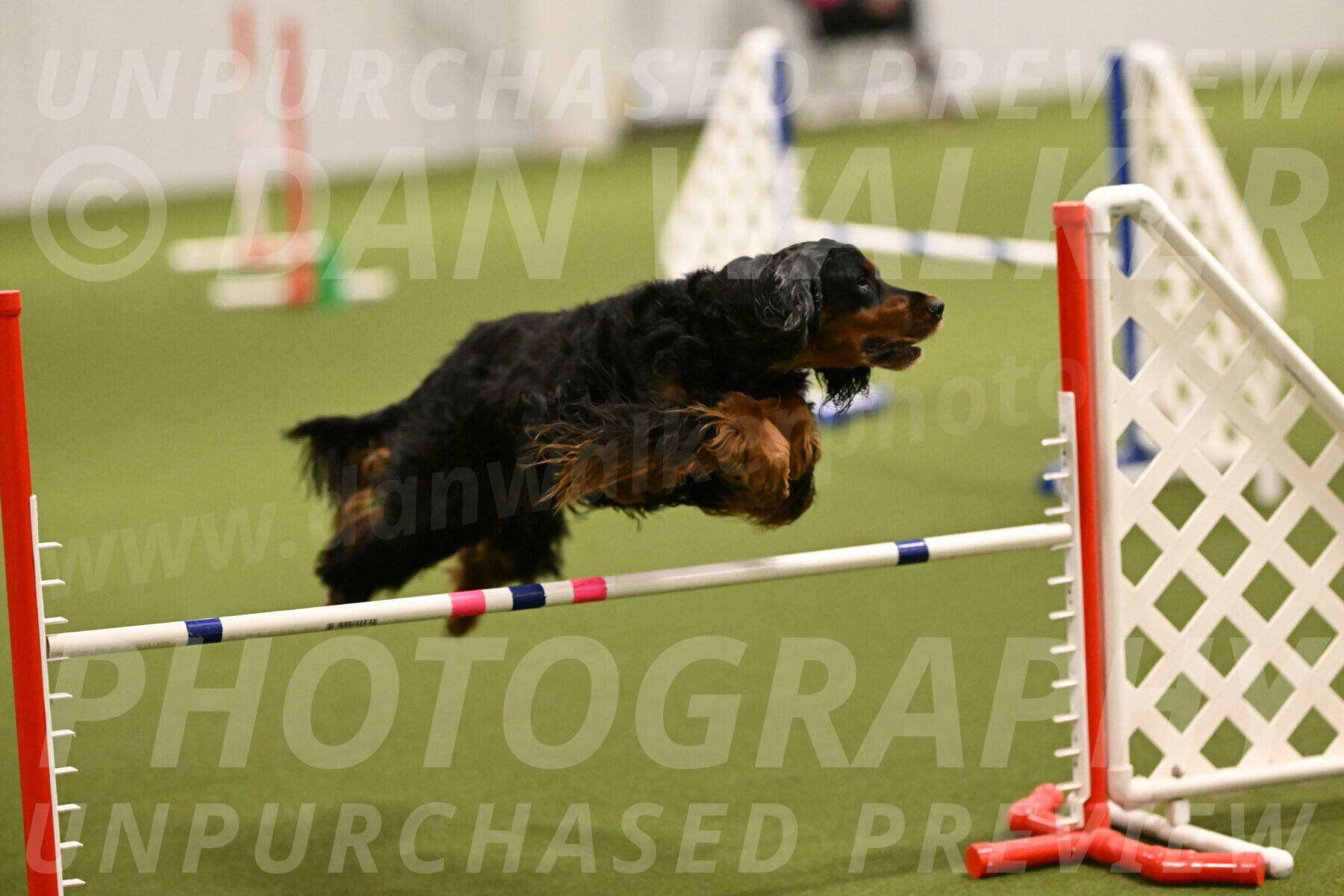 Journey-Candi-Gelis-10422