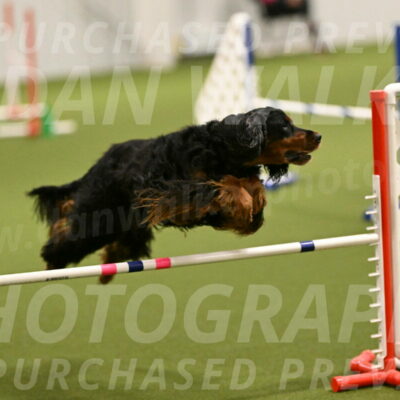 Journey-Candi-Gelis-10422