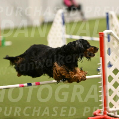 Journey-Candi-Gelis-10423