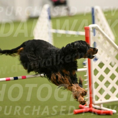 Journey-Candi-Gelis-10424