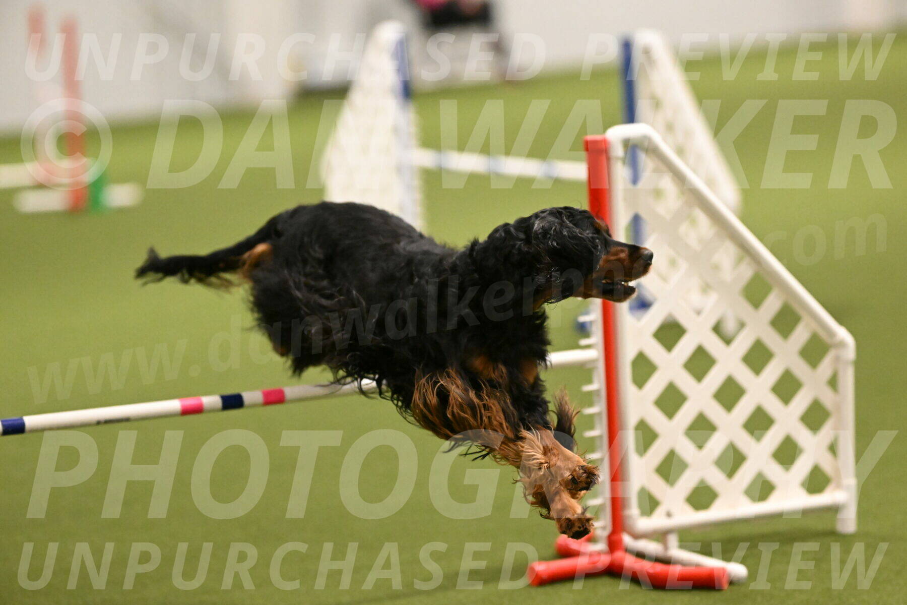 Journey-Candi-Gelis-10424