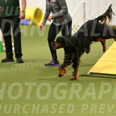 Journey-Candi-Gelis-10425