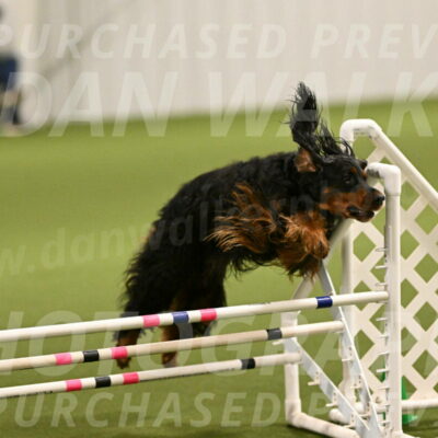 Journey-Candi-Gelis-10426